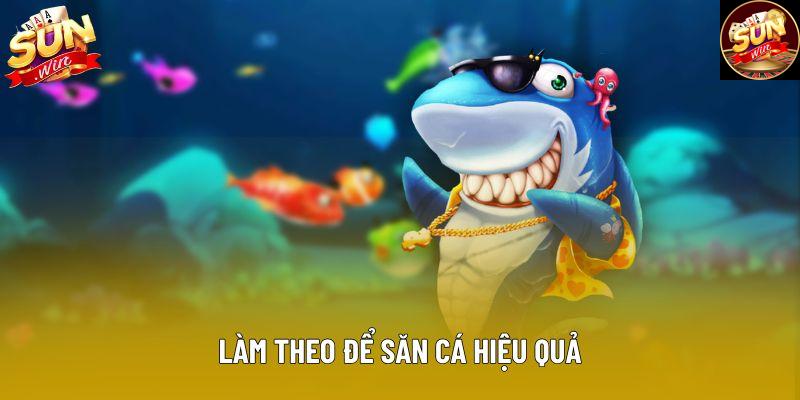 Làm theo để săn cá hiệu quả